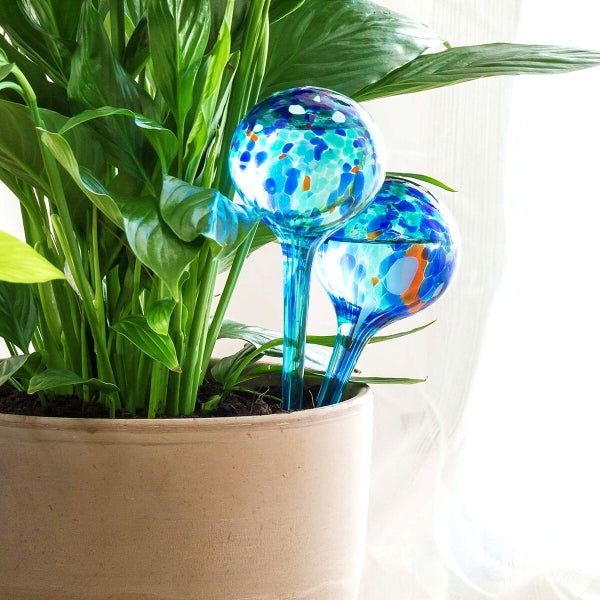 Plant Watering Solution