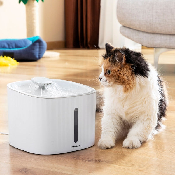 pet-water-fountain
