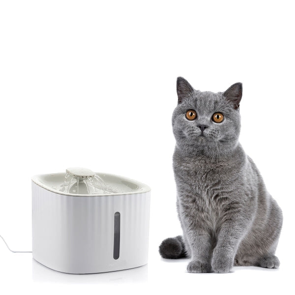 water-fountain-for-the-pets-1